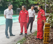 沙坪坝区人平易近